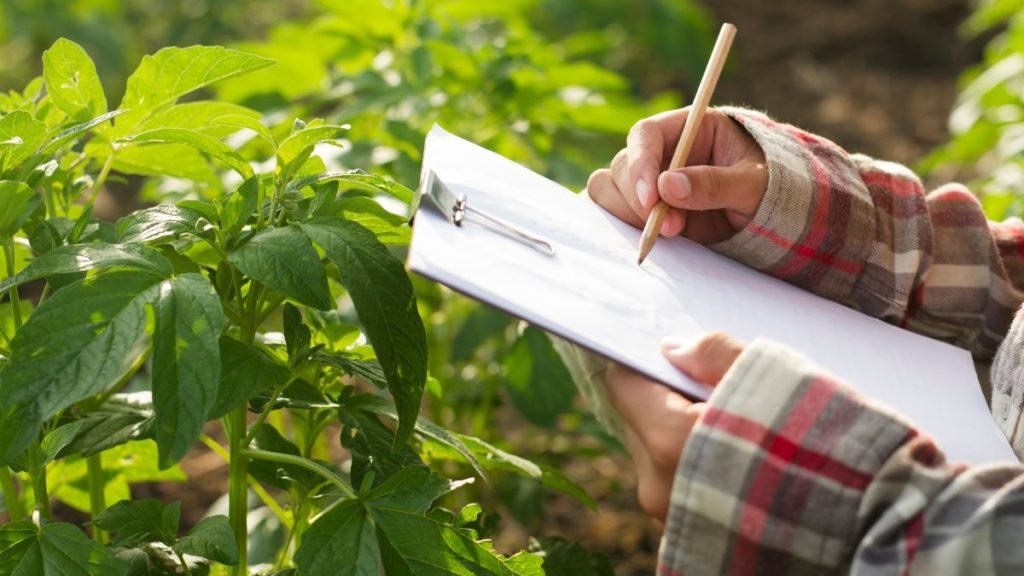 agricultura