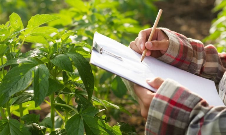 agricultura