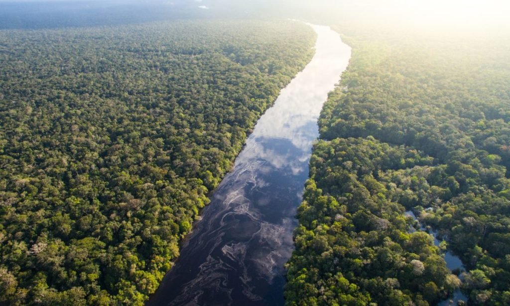 Amazonía
