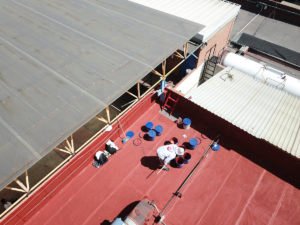 Juntos Protegiendo a México