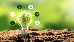 sustentable