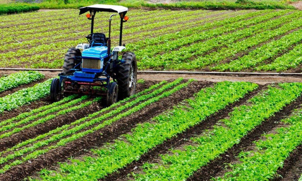 agricultura