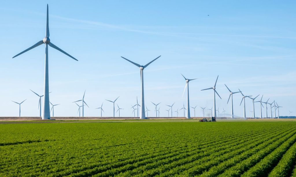 transición energética