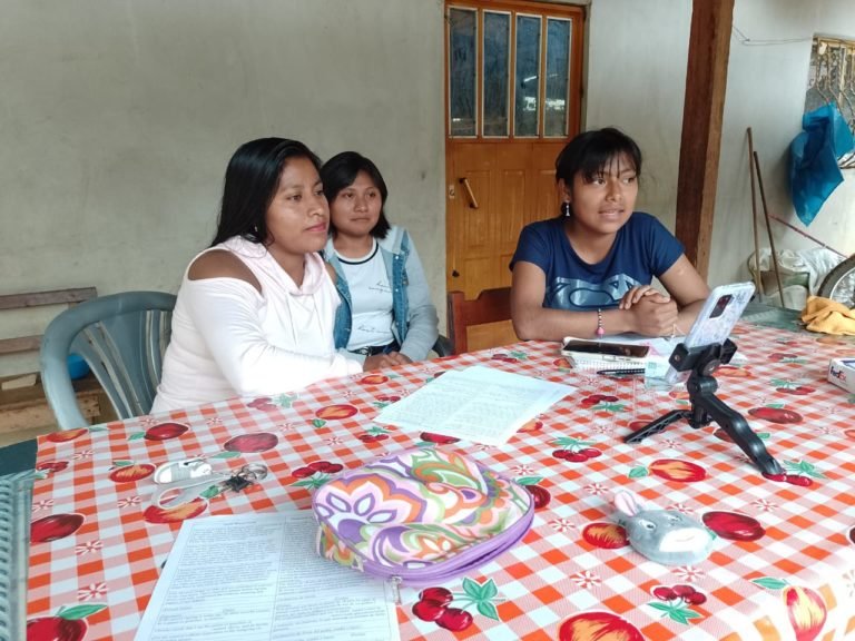 programa de embajadoras