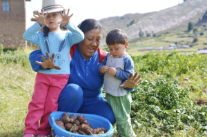 seguridad alimentaria
