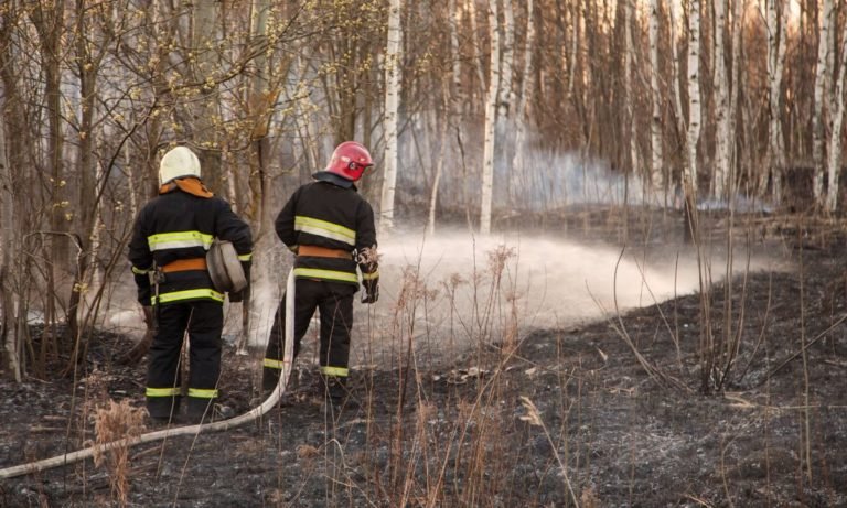 incendios forestales