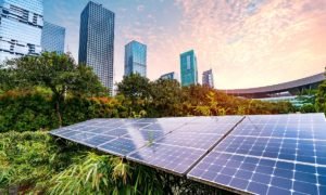 propósitos sustentables