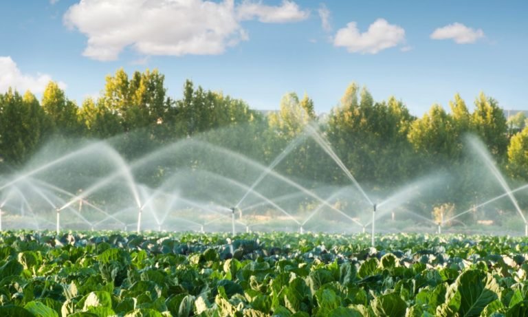sistemas agroalimentarios