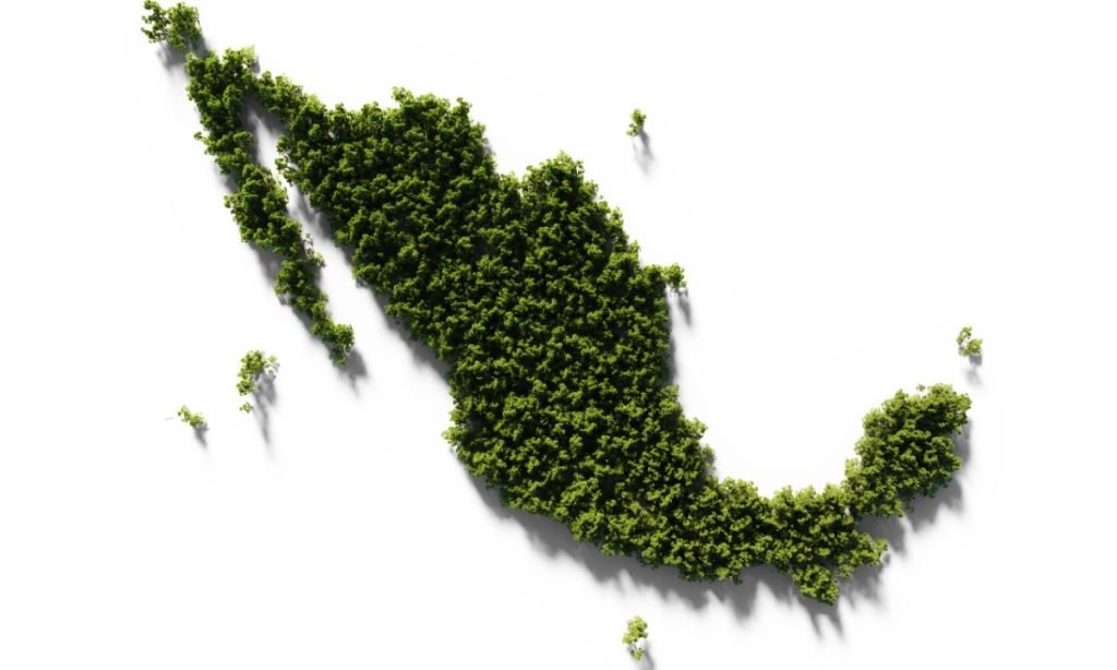 cambio climático