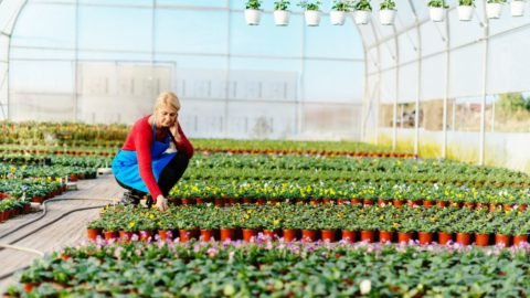 emprender sustentable