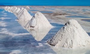 producción sustentable