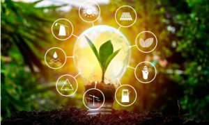 transición energética