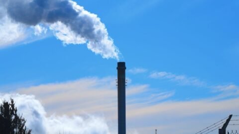 CO2