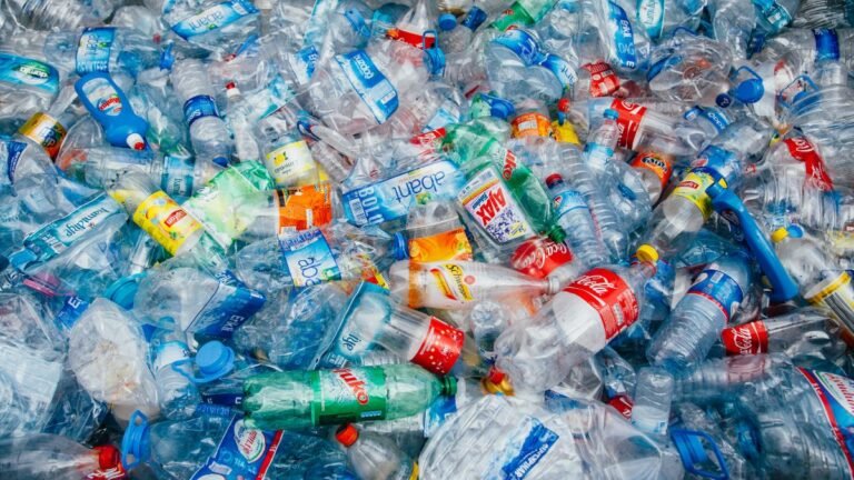 plasticos