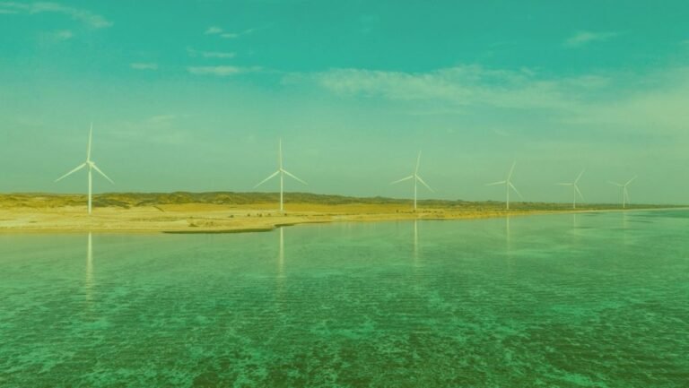 La capacidad instalada de energía eólica mundial registró un récord en 2023 con 117 GW.