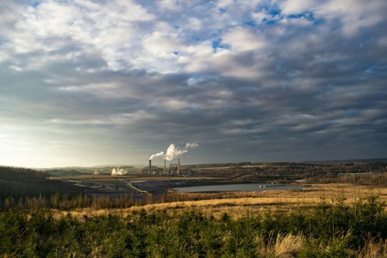 El costo de la transición verde será alto para empresas y consumidores.
