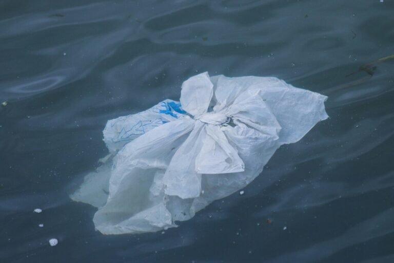 Hasta 11 millones de toneladas de desechos plásticos se hunden desde la superficie hasta el fondo del océano, donde se acumulan.