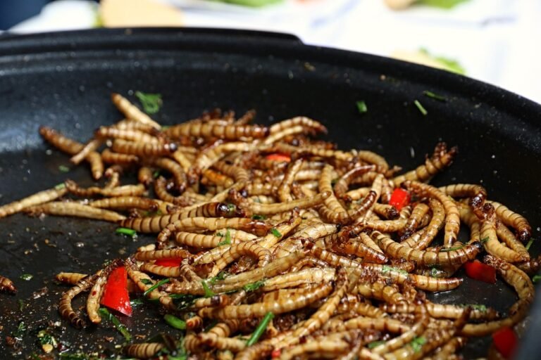 Gastronomía Mexicana