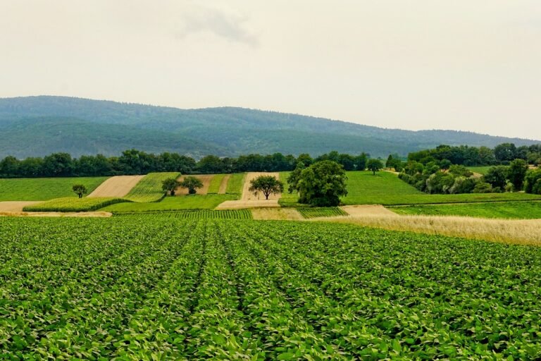 Nestlé realiza primer foro de agricultura y ganadería regenerativa