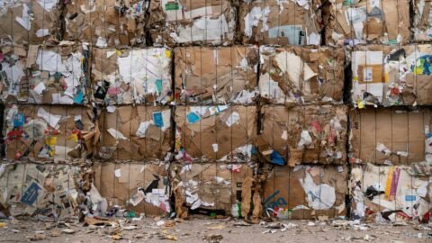 economía circular