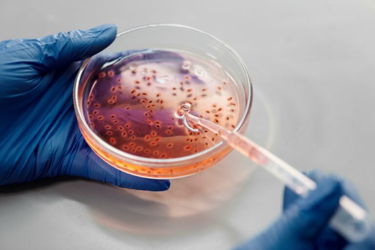 Virus H%N1 podría generar la próxima gran pandemia