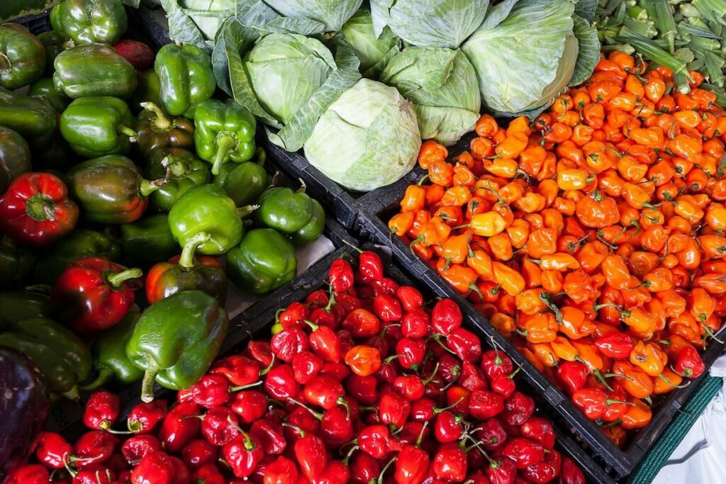 agroecología