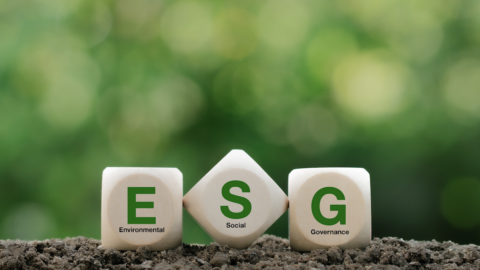 anti-ESG