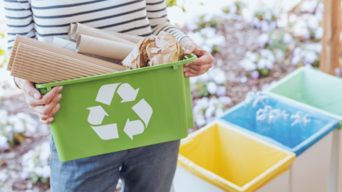 reciclemos