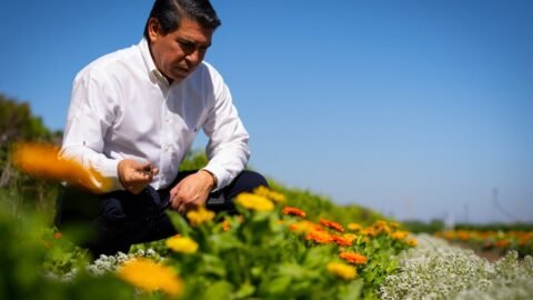 Reporte ESG 2023