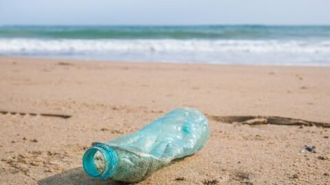 El consumo de plástico en Europa va en aumento. Su producción es de 60 millones de toneladas, cifra que se duplicará en 20 años.