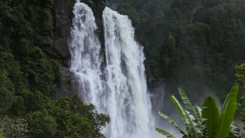 agua