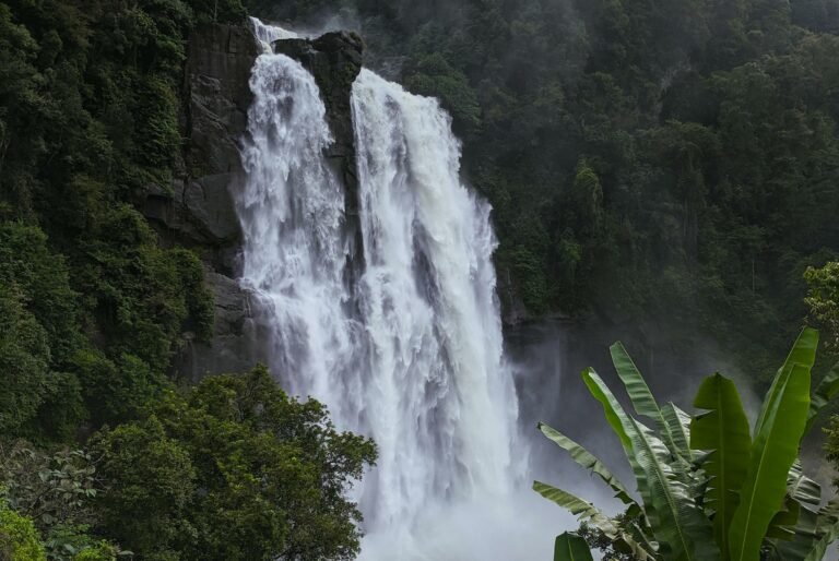 agua