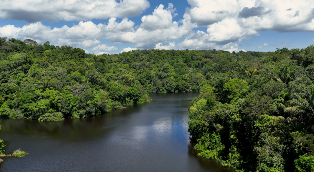 Amazonia