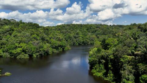 Amazonia