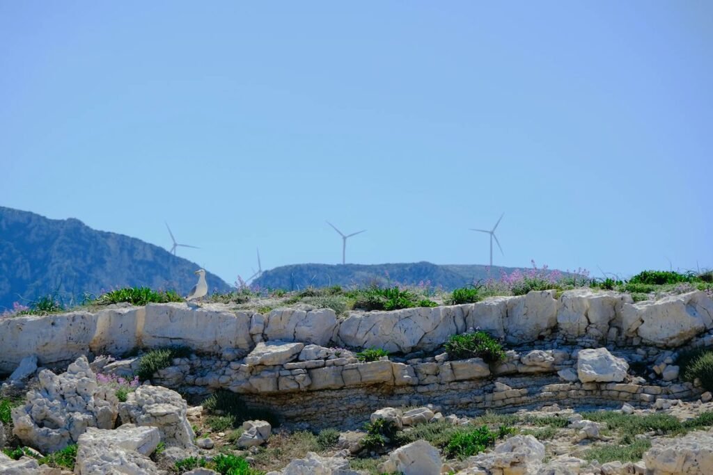 sector energético