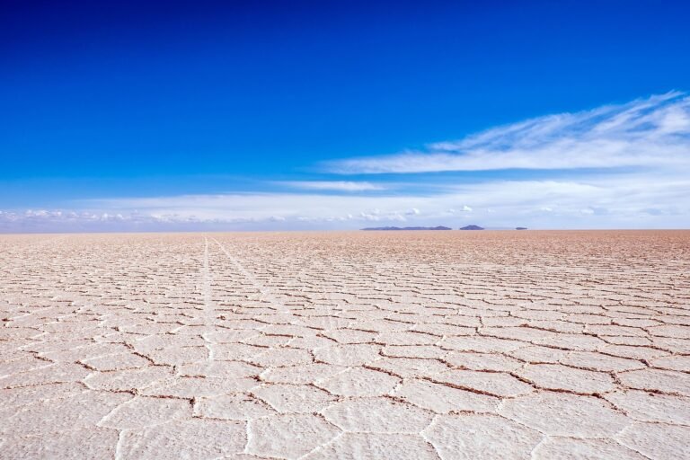 Demandan a Quiborax por daño a salar