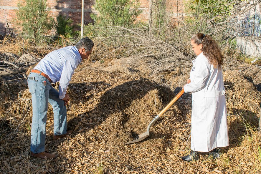 Investigadores de la UNAM aprovechan residuos orgánicos de tres campus para producir un fertilizante orgánico agrícola