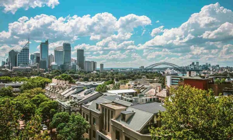 beneficios de los árboles Sidney Foto de Belle Co en Pexels