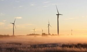 créditos de carbono Foto de Laura Penwell en Pexels