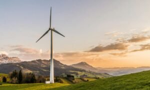 fondos de inversión ESG Foto de Pixabay en Pexels
