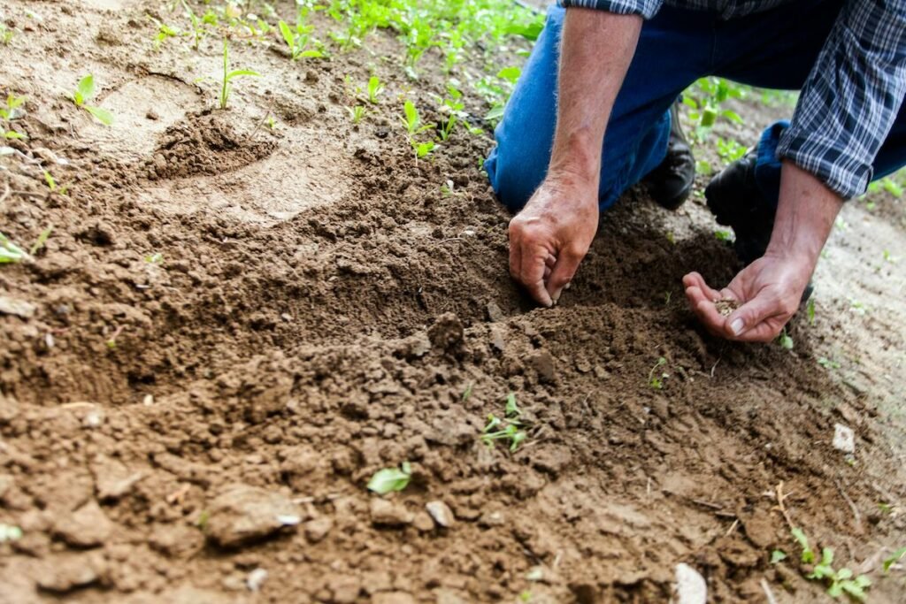 agricultores
