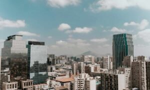 economía neutral en carbono Chile Foto de Matheus Triaquim en Pexels