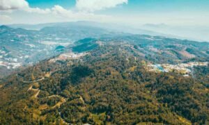 explotación petrolera amazonas Foto de Mikhail Nilov en Pexels