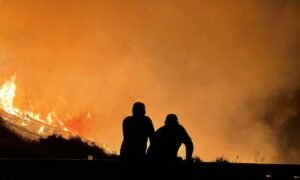 incenidos en el amazonas Foto de Recep Tayyip Çelik en Pexels