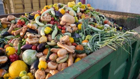 residuos de alimentos