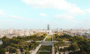 biodiversidad Foto de Mathias Reding en Pexels