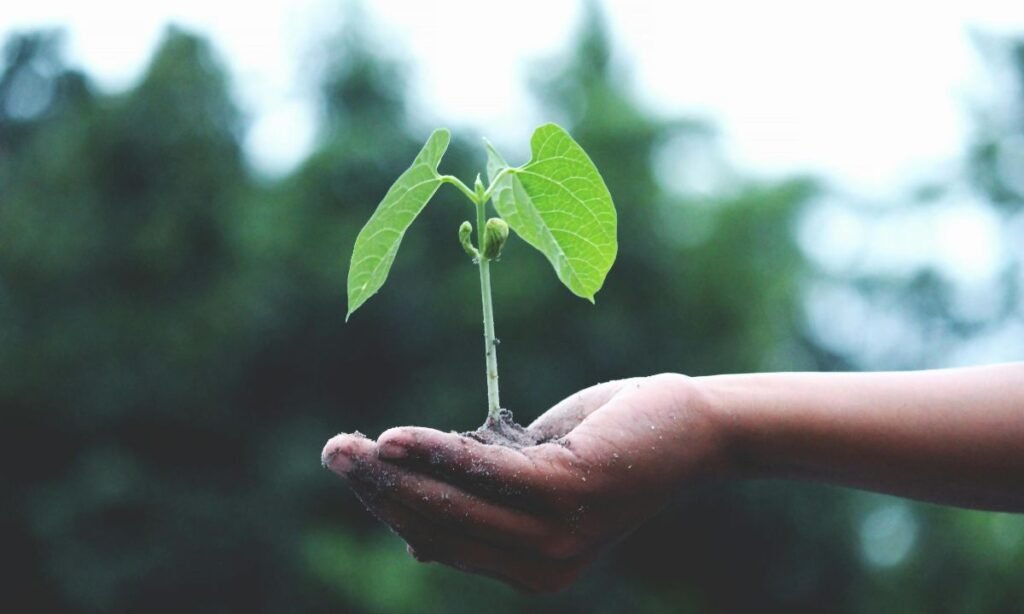 ecología Foto de Akil Mazumder en Pexels
