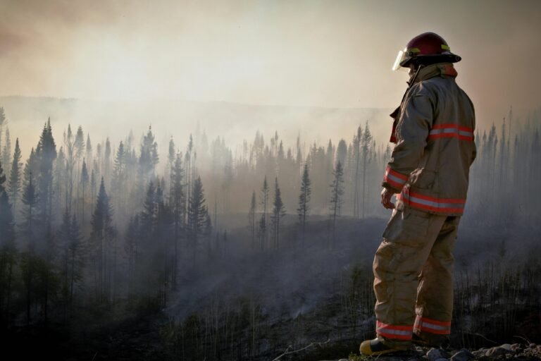 Incendios forestales