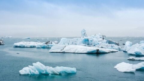 degradación ambiental Foto de Guillaume Falco en Pexels