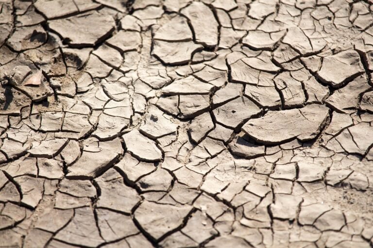 clima extremo acelera migración